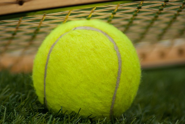 硬式テニスと軟式テニスの違いは？メリット・デメリットは？ | 違い.net